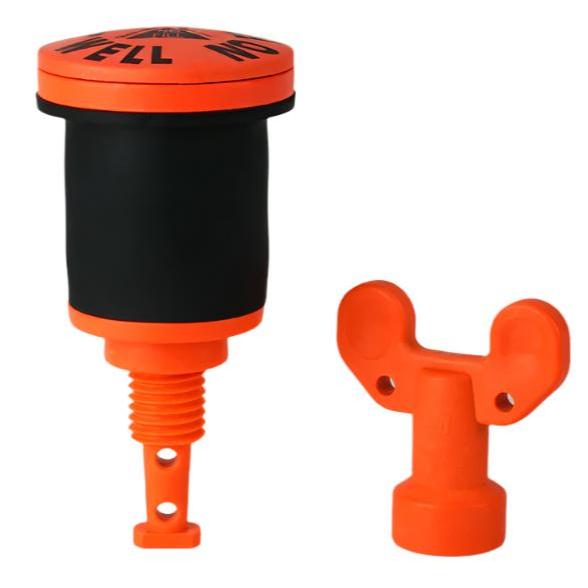 Expandable FlushLock Well Plugs