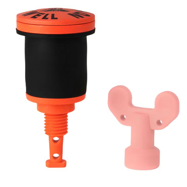 Expandable FlushLock Well Plugs